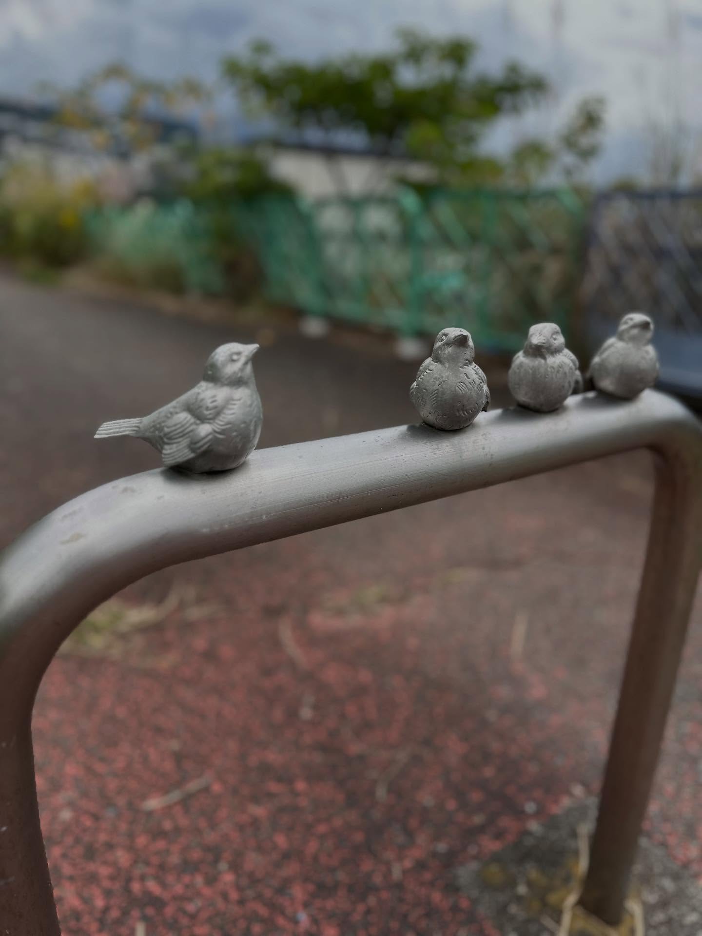 Snapshots of Atami. #visitAtami #beautifulmoments #nature